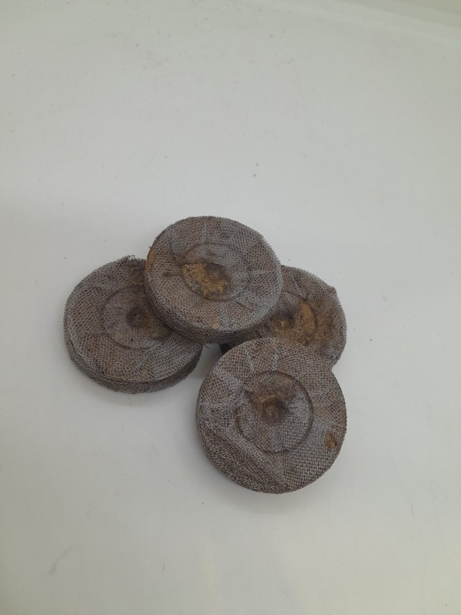 Jiffy Moneda J7